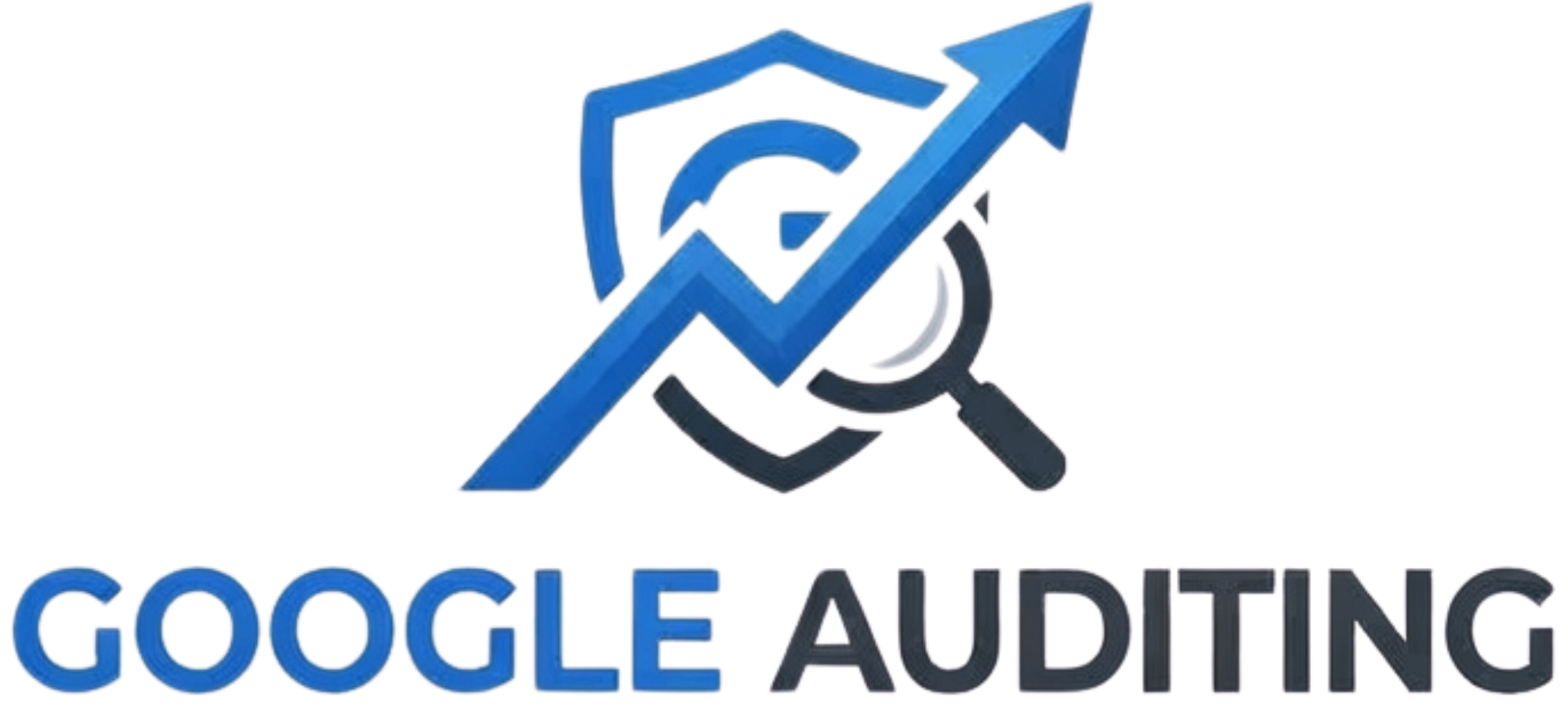 Google Auditing logo